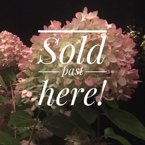 Sold from this point onward